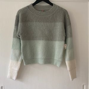 Free People Ombre Crew Neck Long Sleeve Fuzzy Pullover Statement Sweater